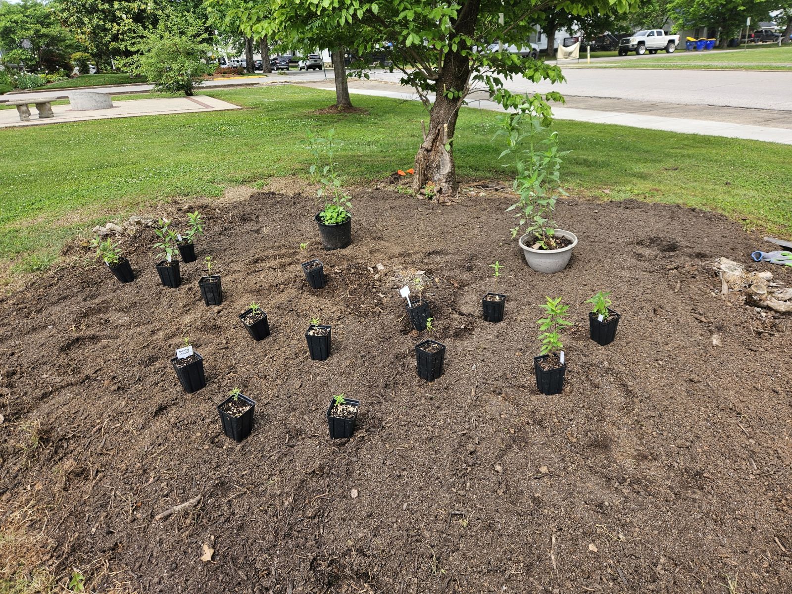 Garden during planting in May 2024