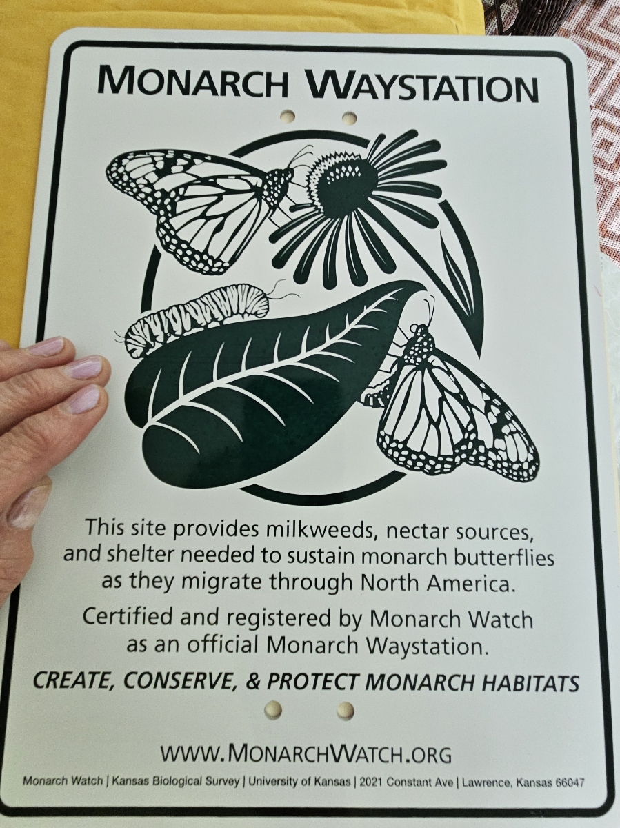 Official Monarch Waystation sign at E. 7th St. and S. Summer St.