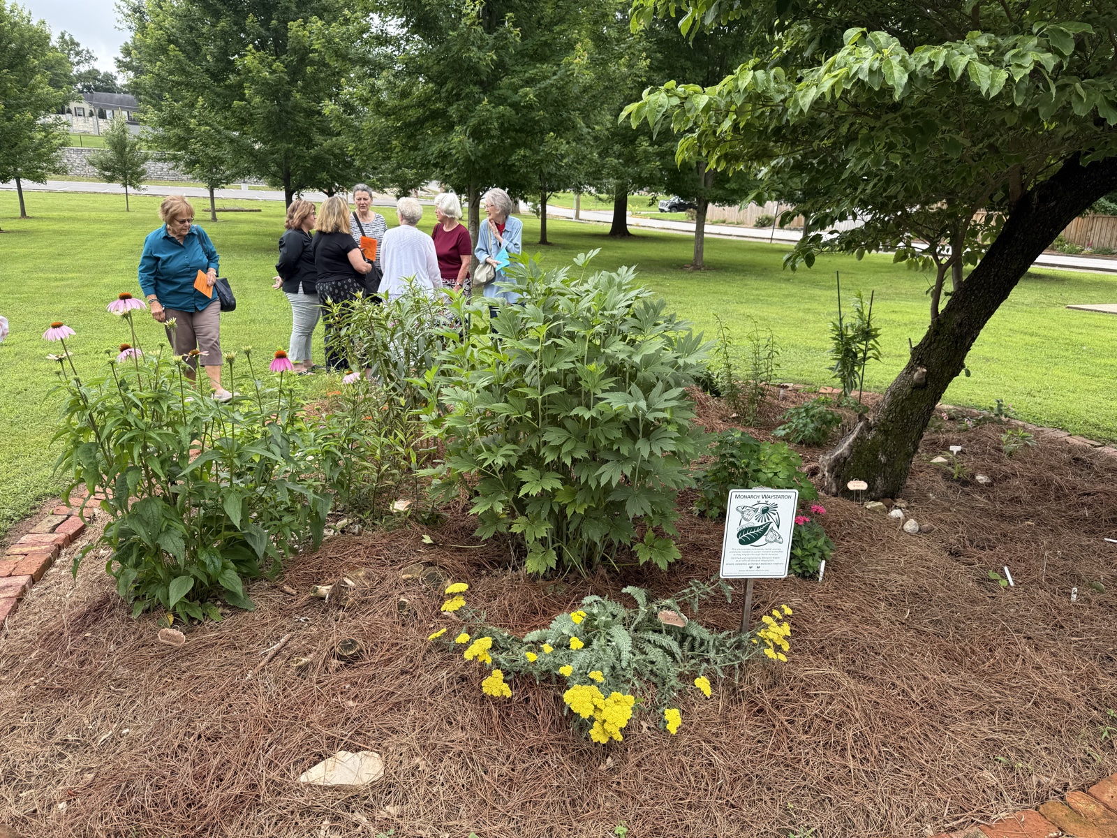 A featured garden from the 2025 Garden Tour