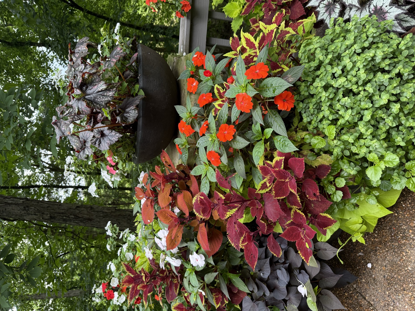 A featured garden from the 2025 Garden Tour