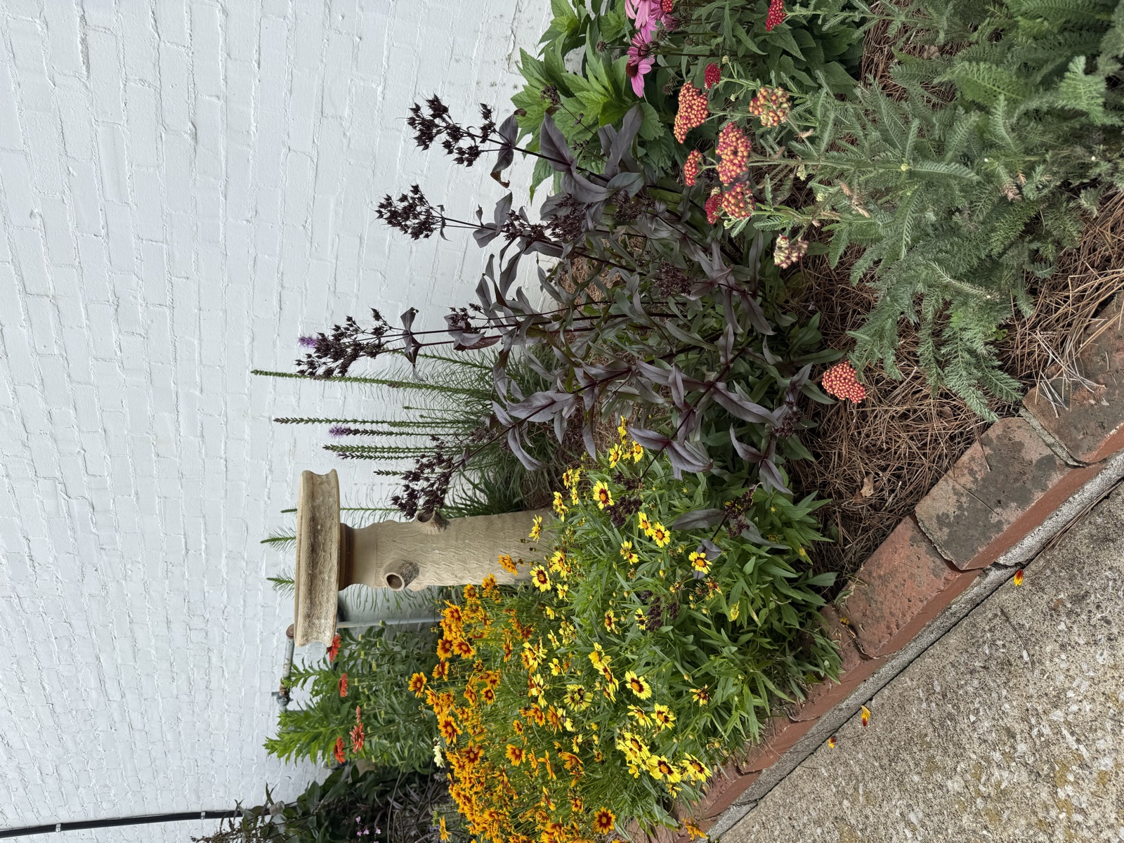 A featured garden from the 2025 Garden Tour